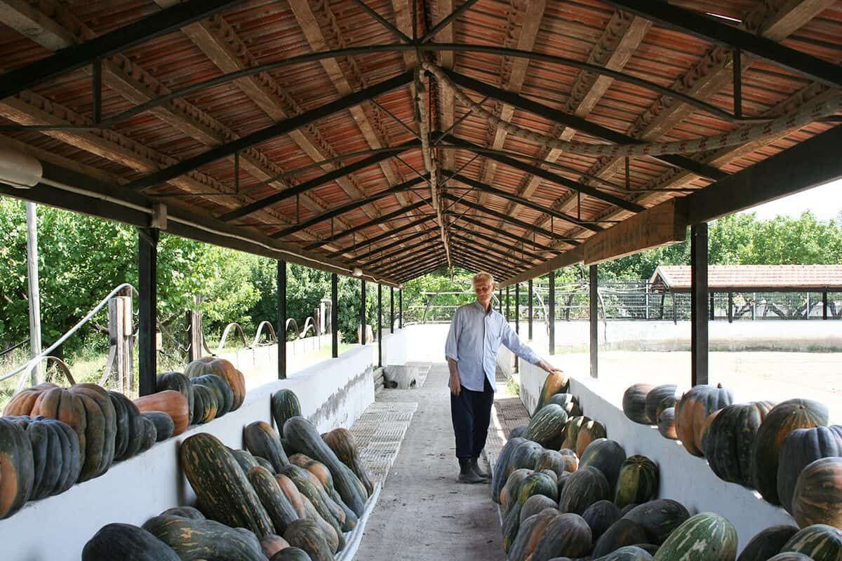Carlo Petrella, il fondatore, in piedi tra le zucche sotto la tettoia della Locanda